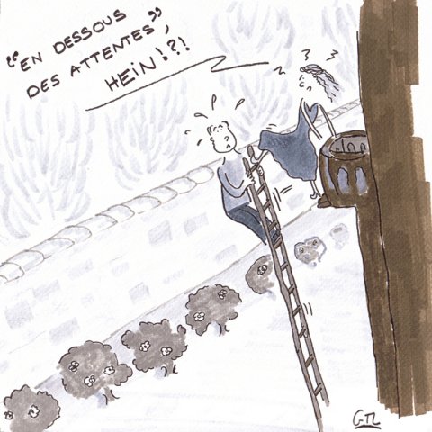 Dessins de la Semaine